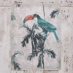 TOUCAN VINTAGE (90x120 cm)