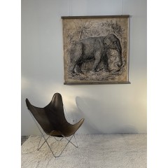 ELEPHANT N&B (120x120cm)
